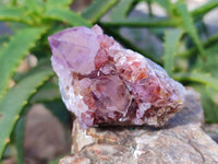 Natural Amethyst Spirit Quartz Clusters x 12 From Boekenhouthoek, South Africa - Toprock Gemstones and Minerals 