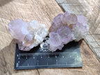 Natural Amethyst Spirit Quartz Clusters x 12 From Boekenhouthoek, South Africa - Toprock Gemstones and Minerals 