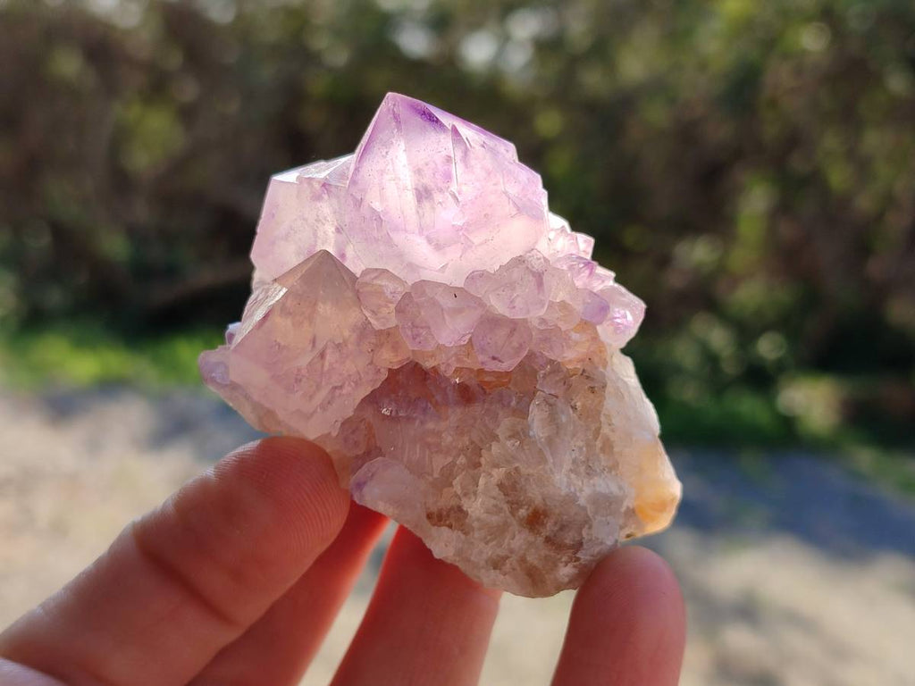 Natural Amethyst Spirit Quartz Clusters x 12 From Boekenhouthoek, South Africa - Toprock Gemstones and Minerals 