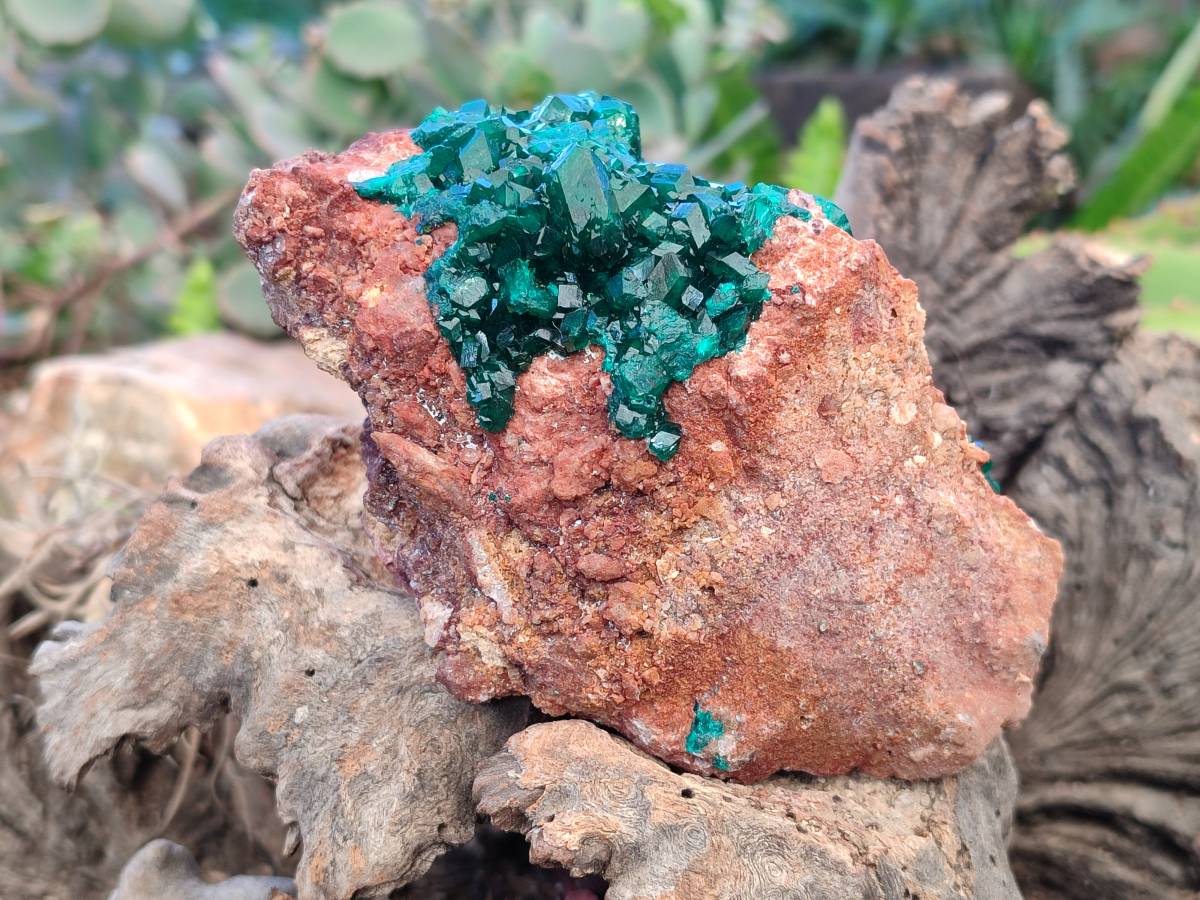 Natural Dioptase on Dolomite Matrix Specimens x 2 From Likasi, Congo - Toprock Gemstones and Minerals 