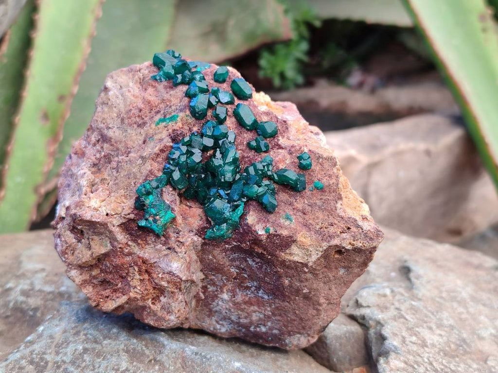 Natural Dioptase on Dolomite Matrix Specimens x 2 From Likasi, Congo - Toprock Gemstones and Minerals 