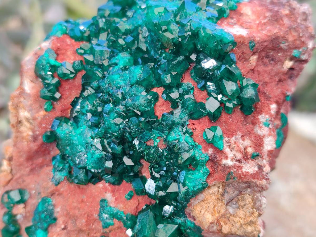 Natural Dioptase on Dolomite Matrix Specimens x 2 From Likasi, Congo - Toprock Gemstones and Minerals 