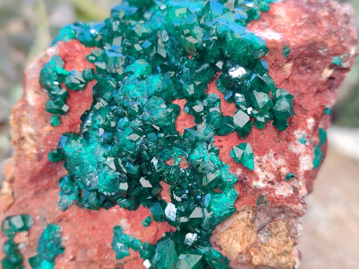 Natural Dioptase on Dolomite Matrix Specimens x 2 From Likasi, Congo - Toprock Gemstones and Minerals 