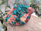 Natural Dioptase on Dolomite Matrix Specimens x 2 From Likasi, Congo - Toprock Gemstones and Minerals 