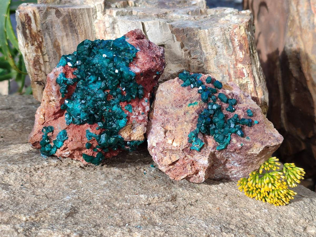 Natural Dioptase on Dolomite Matrix Specimens x 2 From Likasi, Congo - Toprock Gemstones and Minerals 