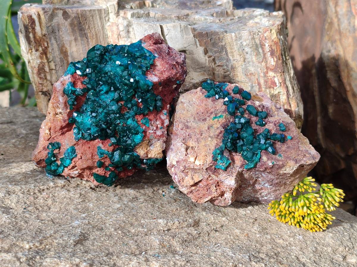 Natural Dioptase on Dolomite Matrix Specimens x 2 From Likasi, Congo - Toprock Gemstones and Minerals 