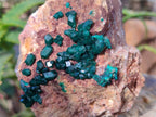 Natural Dioptase on Dolomite Matrix Specimens x 2 From Likasi, Congo - Toprock Gemstones and Minerals 