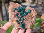 Natural Dioptase on Dolomite Matrix Specimens x 2 From Likasi, Congo - Toprock Gemstones and Minerals 