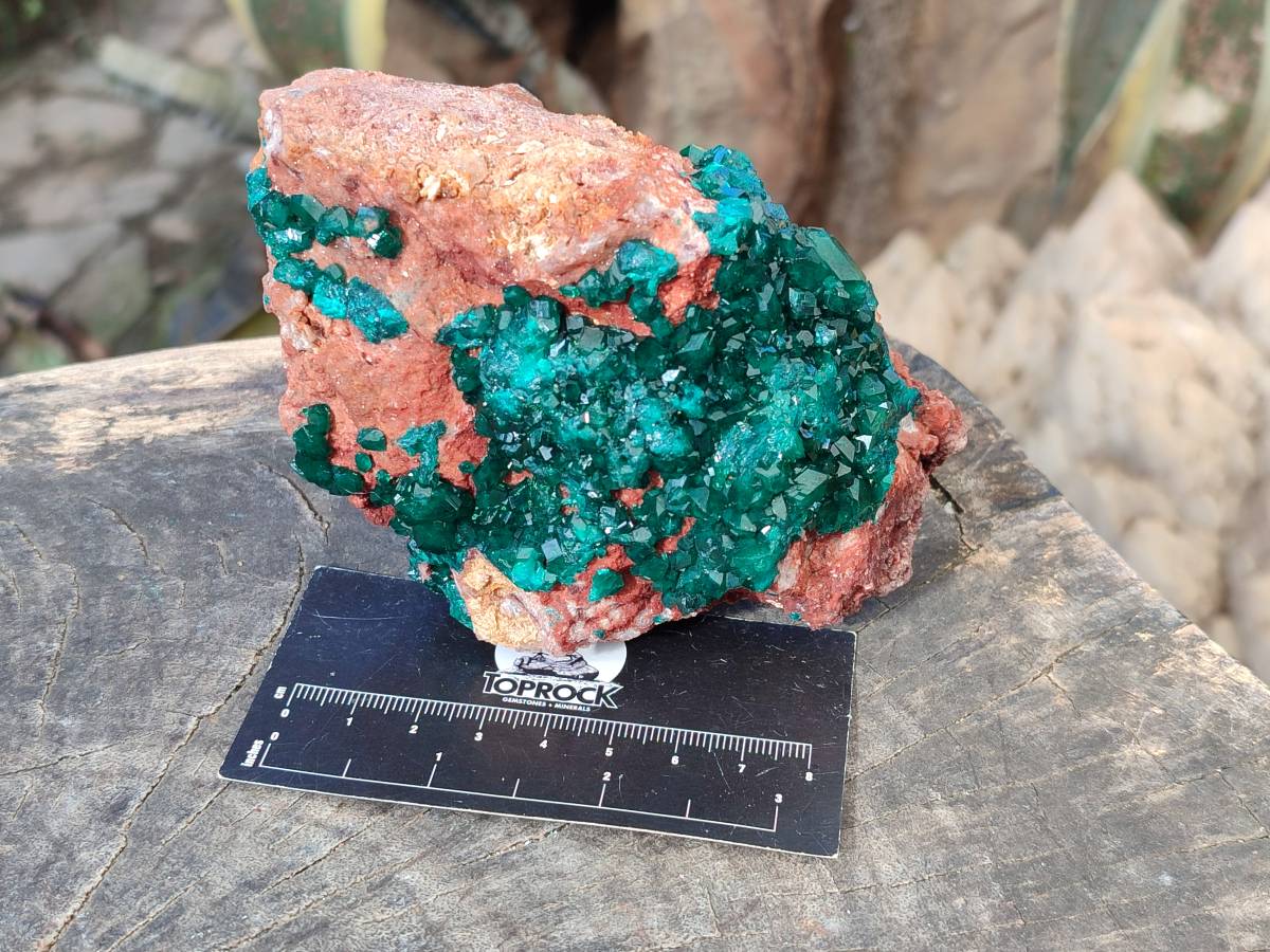 Natural Dioptase on Dolomite Matrix Specimens x 2 From Likasi, Congo - Toprock Gemstones and Minerals 