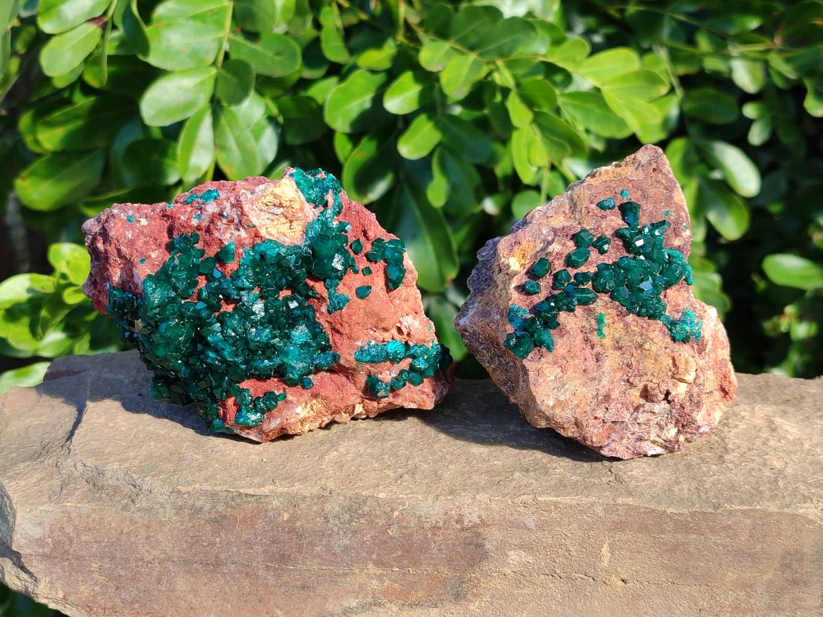 Natural Dioptase on Dolomite Matrix Specimens x 2 From Likasi, Congo - Toprock Gemstones and Minerals 