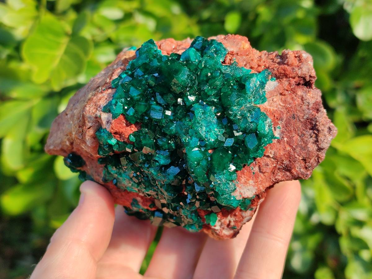 Natural Dioptase on Dolomite Matrix Specimens x 2 From Likasi, Congo - Toprock Gemstones and Minerals 