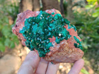 Natural Dioptase on Dolomite Matrix Specimens x 2 From Likasi, Congo - Toprock Gemstones and Minerals 