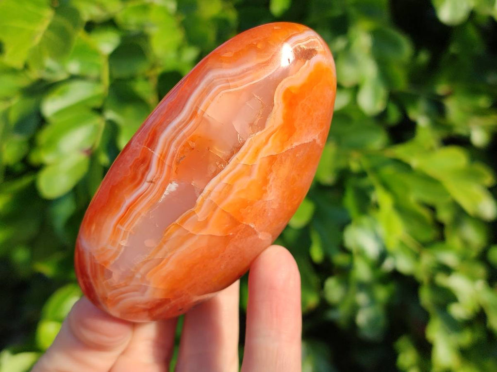 Polished Carnelian Agate Standing Free Forms x 4 From Madagascar - Toprock Gemstones and Minerals 