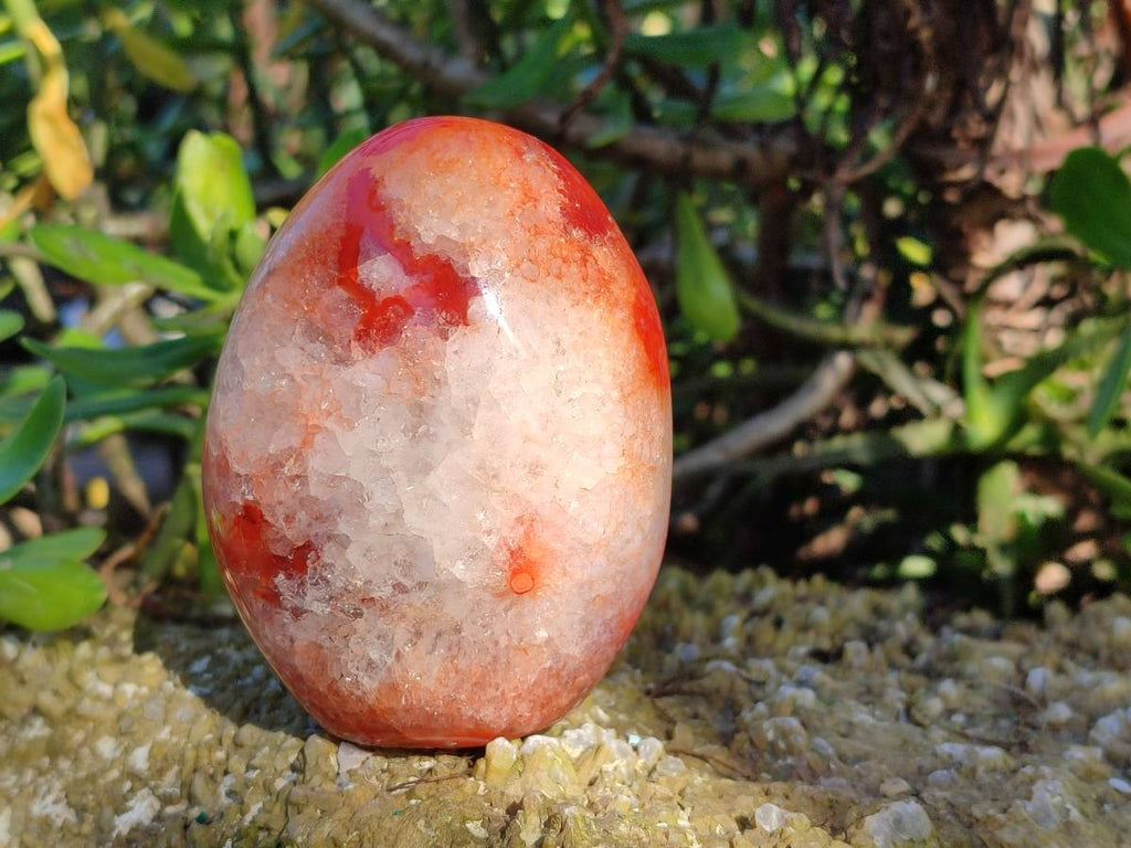 Polished Carnelian Agate Standing Free Forms x 4 From Madagascar - Toprock Gemstones and Minerals 