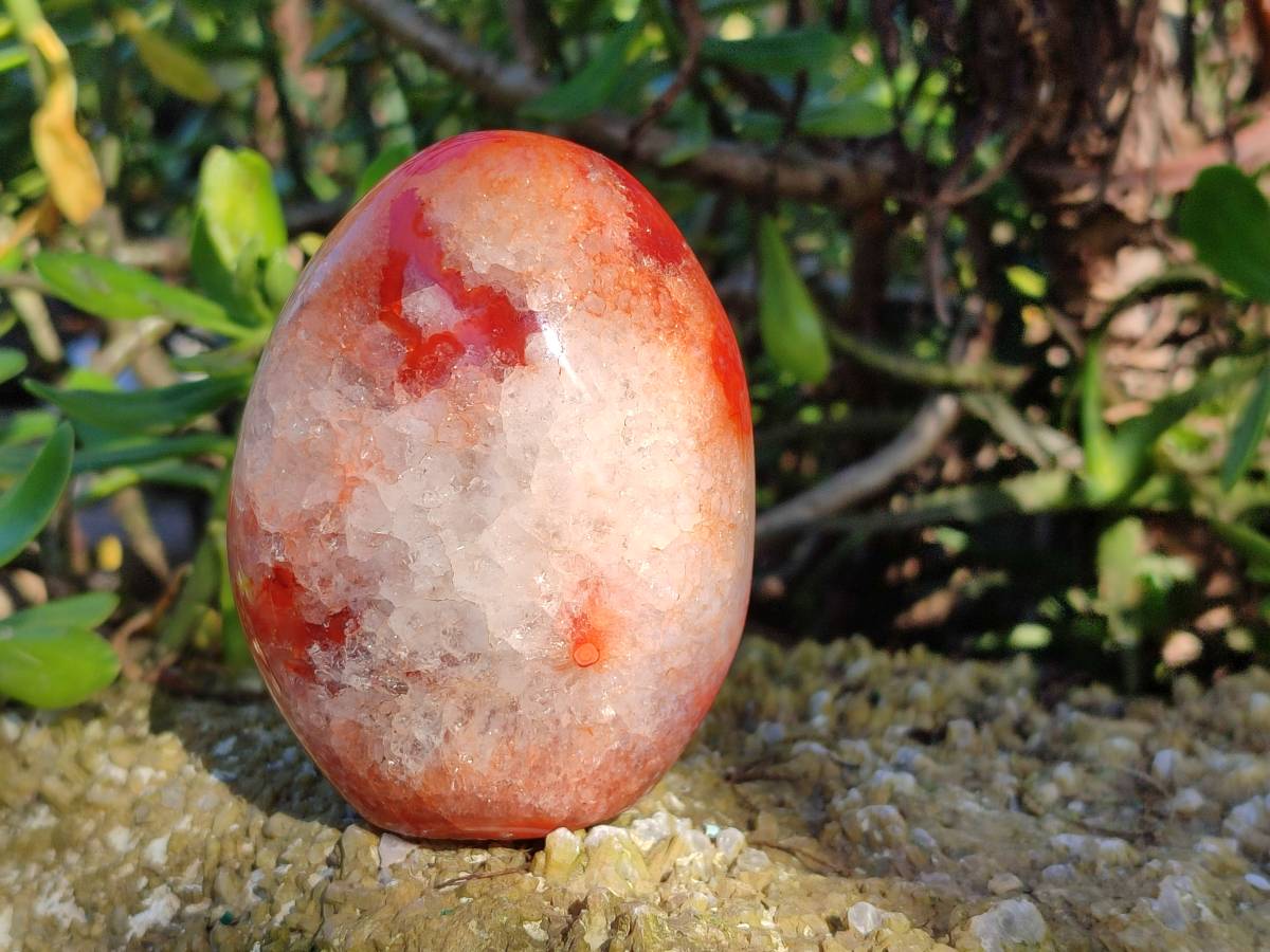 Polished Carnelian Agate Standing Free Forms x 4 From Madagascar - Toprock Gemstones and Minerals 