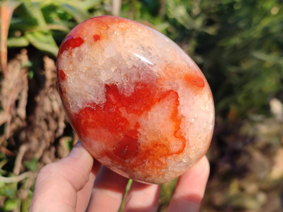 Polished Carnelian Agate Standing Free Forms x 4 From Madagascar - Toprock Gemstones and Minerals 