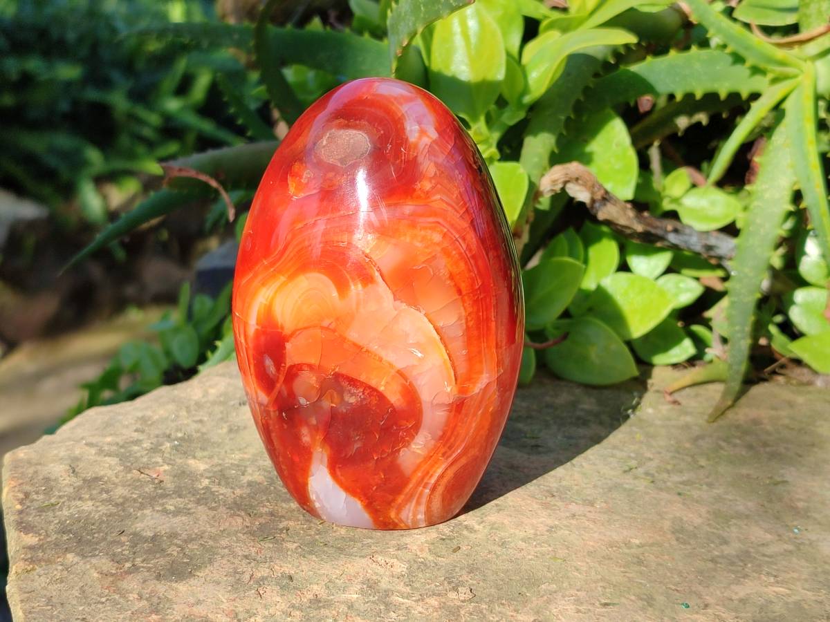 Polished Carnelian Agate Standing Free Forms x 4 From Madagascar - Toprock Gemstones and Minerals 