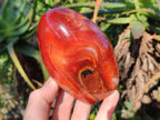 Polished Carnelian Agate Standing Free Forms x 4 From Madagascar - Toprock Gemstones and Minerals 