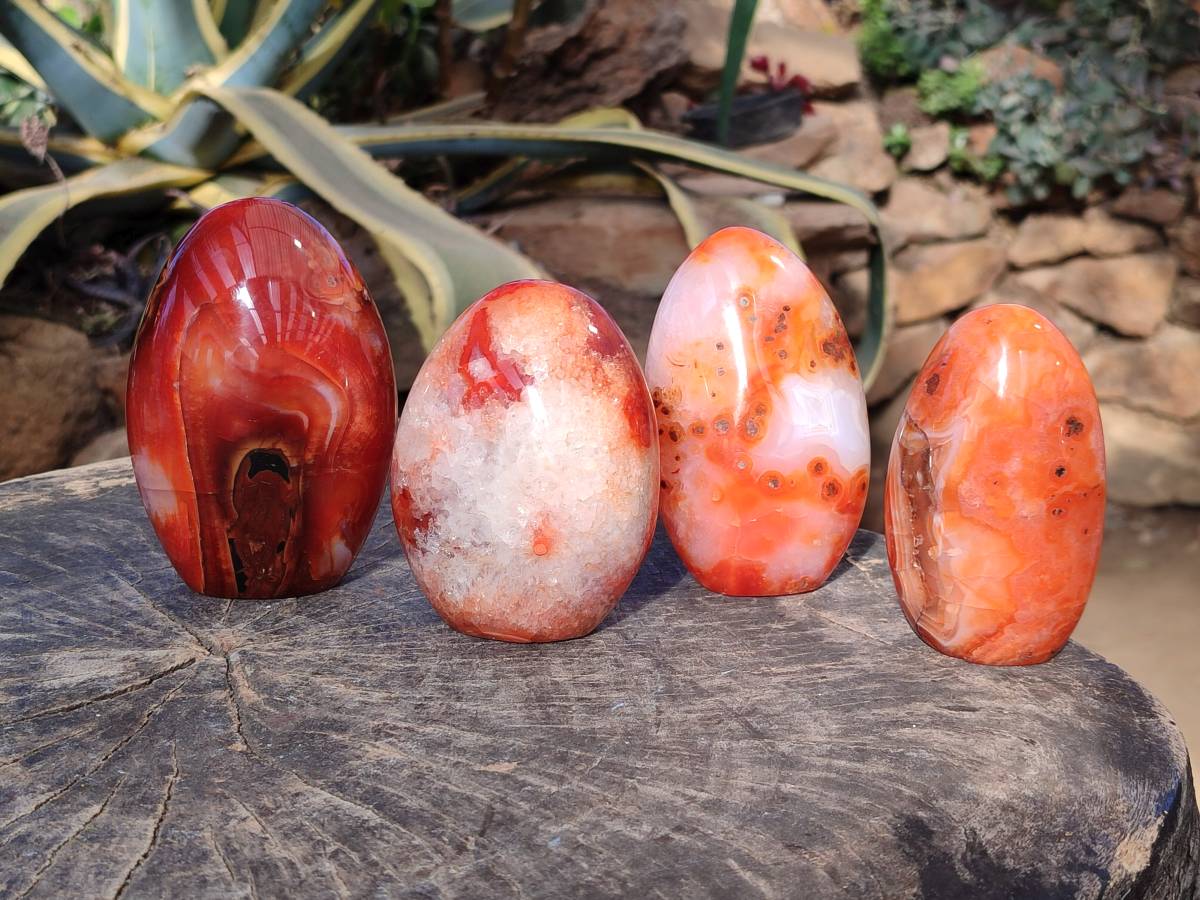 Polished Carnelian Agate Standing Free Forms x 4 From Madagascar - Toprock Gemstones and Minerals 