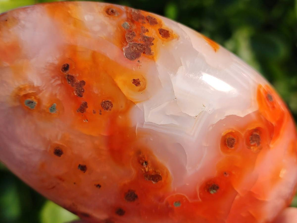 Polished Carnelian Agate Standing Free Forms x 4 From Madagascar - Toprock Gemstones and Minerals 