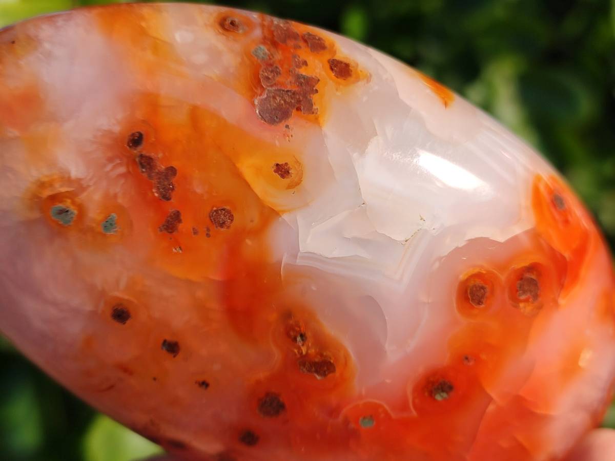 Polished Carnelian Agate Standing Free Forms x 4 From Madagascar - Toprock Gemstones and Minerals 