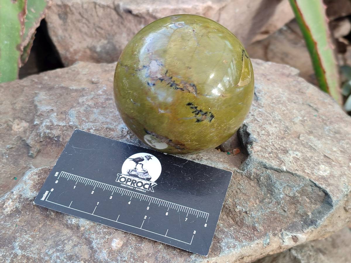Polished Green Opal Spheres x 3 From Betroka, Madagascar - Toprock Gemstones and Minerals 