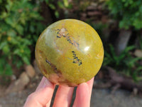 Polished Green Opal Spheres x 3 From Betroka, Madagascar - Toprock Gemstones and Minerals 