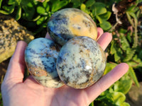 Polished Dendritic Opal Palm Stones x 6 From Moralambo, Madagascar - Toprock Gemstones and Minerals 