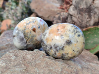 Polished Dendritic Opal Palm Stones x 6 From Moralambo, Madagascar - Toprock Gemstones and Minerals 