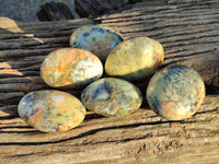 Polished Dendritic Opal Palm Stones x 6 From Moralambo, Madagascar - Toprock Gemstones and Minerals 