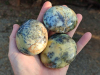 Polished Dendritic Opal Palm Stones x 6 From Moralambo, Madagascar - Toprock Gemstones and Minerals 