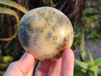 Polished Dendritic Opal Palm Stones x 6 From Moralambo, Madagascar - Toprock Gemstones and Minerals 