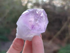 Natural Jacaranda Amethyst Quartz Crystals x 12 From Mumbwa, Zambia - Toprock Gemstones and Minerals 