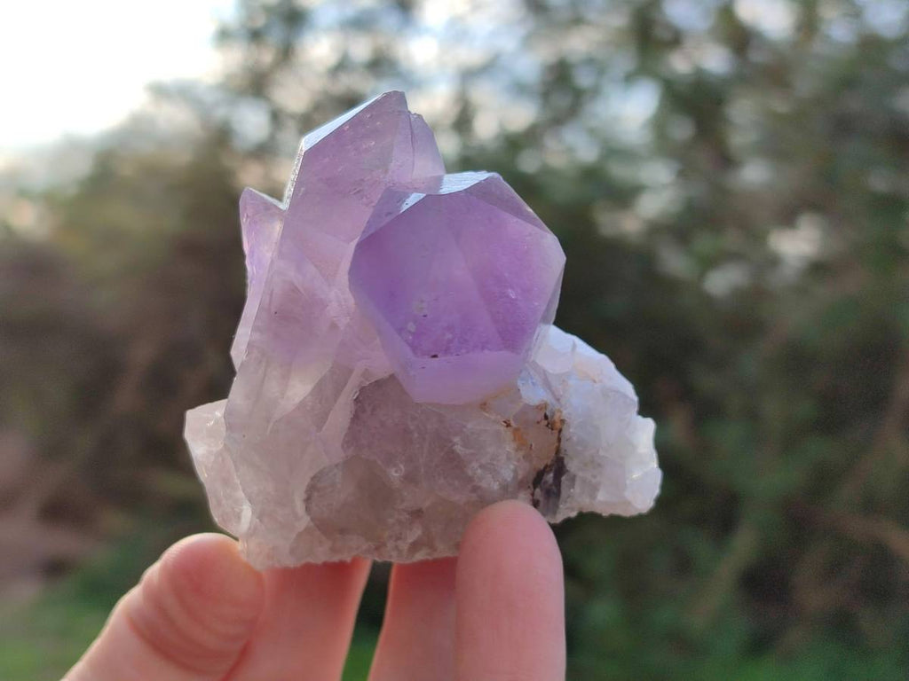 Natural Jacaranda Amethyst Quartz Crystals x 12 From Mumbwa, Zambia - Toprock Gemstones and Minerals 