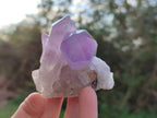 Natural Jacaranda Amethyst Quartz Crystals x 12 From Mumbwa, Zambia - Toprock Gemstones and Minerals 