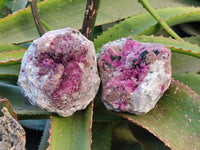 Natural Drusy Salrose on Dolomite Matrix Specimens x 2 From Kakanda, Congo - Toprock Gemstones and Minerals 