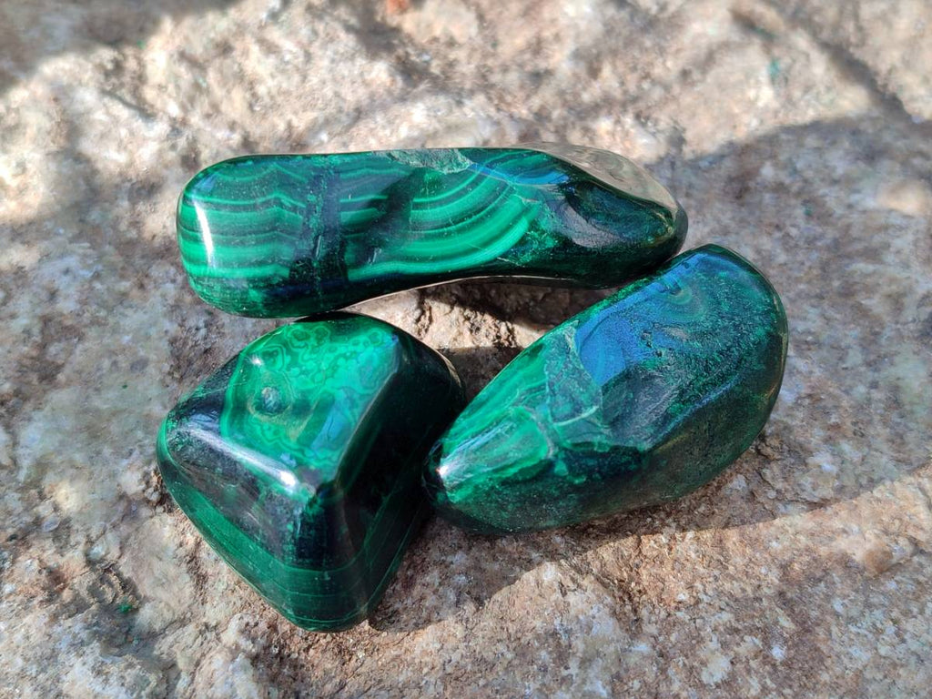 Polished Flower Banded Malachite Tumbled Stones x 35 From Congo - Toprock Gemstones and Minerals 