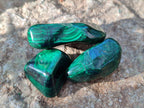 Polished Flower Banded Malachite Tumbled Stones x 35 From Congo - Toprock Gemstones and Minerals 
