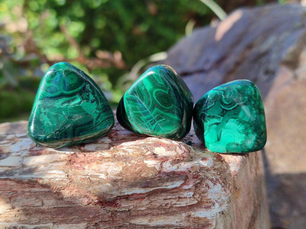 Polished Flower Banded Malachite Tumbled Stones x 35 From Congo - Toprock Gemstones and Minerals 