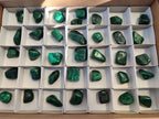 Polished Flower Banded Malachite Tumbled Stones x 35 From Congo - Toprock Gemstones and Minerals 