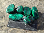 Polished Flower Banded Malachite Tumbled Stones x 35 From Congo - Toprock Gemstones and Minerals 