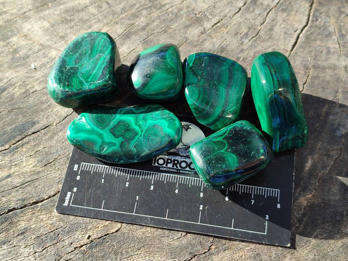 Polished Flower Banded Malachite Tumbled Stones x 35 From Congo - Toprock Gemstones and Minerals 