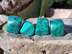 Polished Flower Banded Malachite Tumbled Stones x 35 From Congo - Toprock Gemstones and Minerals 