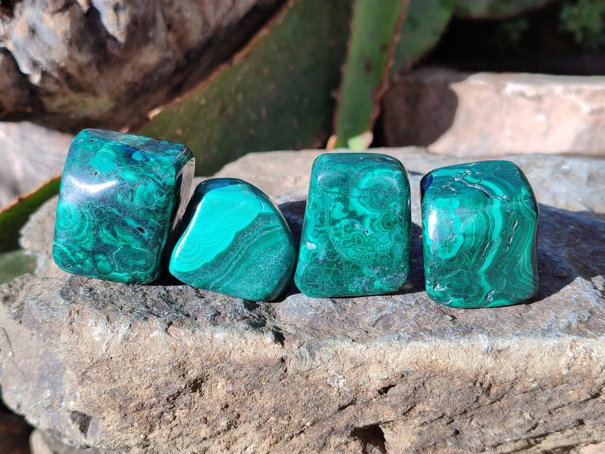 Polished Flower Banded Malachite Tumbled Stones x 35 From Congo - Toprock Gemstones and Minerals 