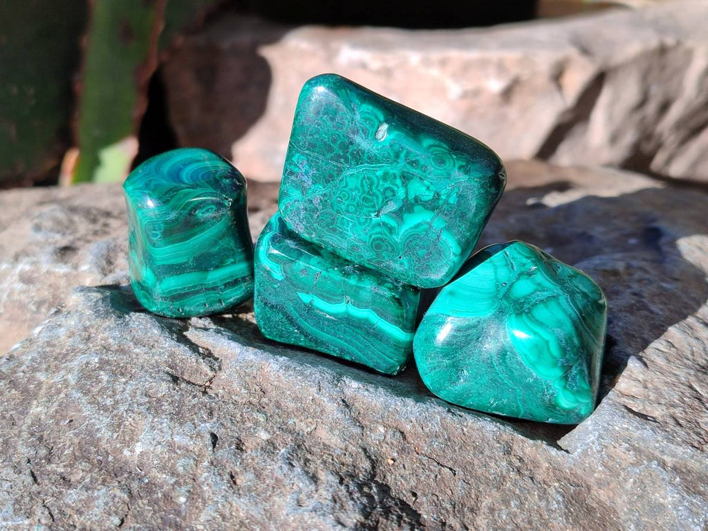 Polished Flower Banded Malachite Tumbled Stones x 35 From Congo - Toprock Gemstones and Minerals 