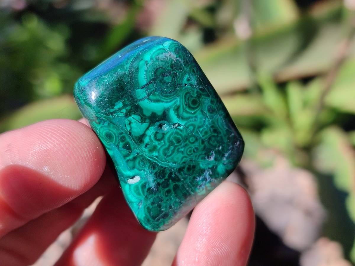 Polished Flower Banded Malachite Tumbled Stones x 35 From Congo - Toprock Gemstones and Minerals 