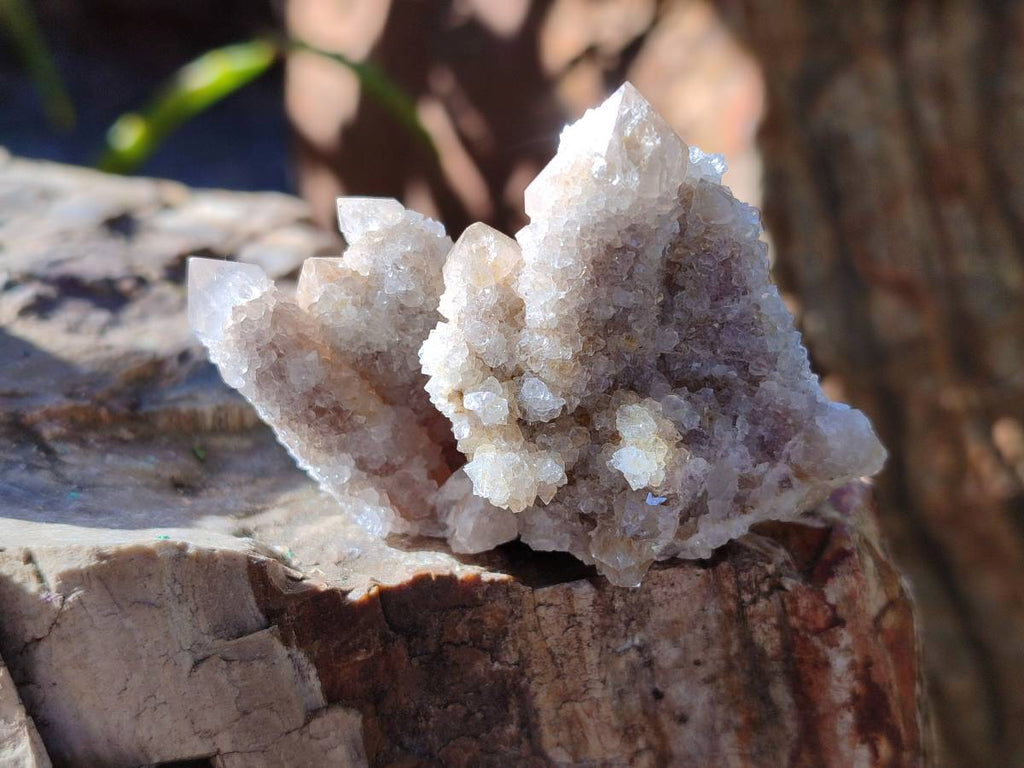 Natural Fairy Spirit Quartz Clusters x 12 From Boekenhouthoek, South Africa - Toprock Gemstones and Minerals 