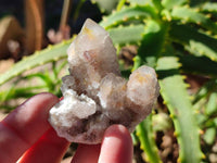 Natural Fairy Spirit Quartz Clusters x 12 From Boekenhouthoek, South Africa - Toprock Gemstones and Minerals 
