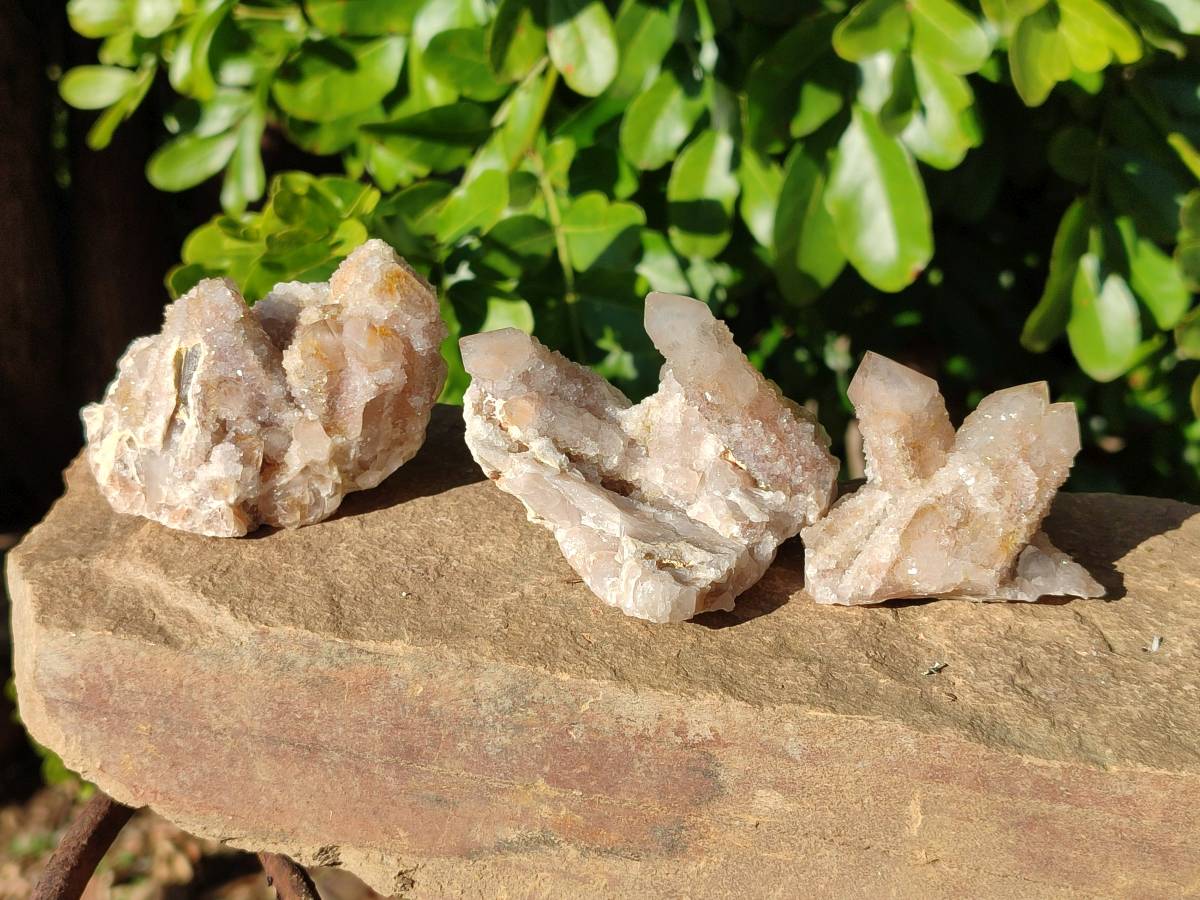 Natural Fairy Spirit Quartz Clusters x 12 From Boekenhouthoek, South Africa - Toprock Gemstones and Minerals 