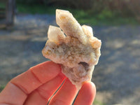 Natural Fairy Spirit Quartz Clusters x 12 From Boekenhouthoek, South Africa - Toprock Gemstones and Minerals 